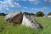 Selinunte Cave di Cusa. The quarry utilized for temple columns, today it is still possible to observe blocks and drums at different stages of preparation. 